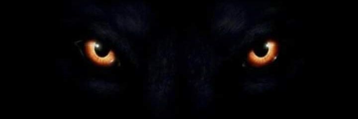 LekimDiamond's profile banner image