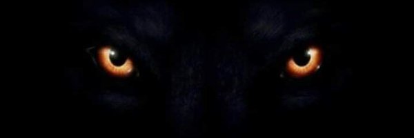 LekimDiamond Profile Banner