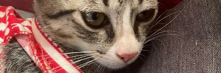 Marialelex's profile banner image