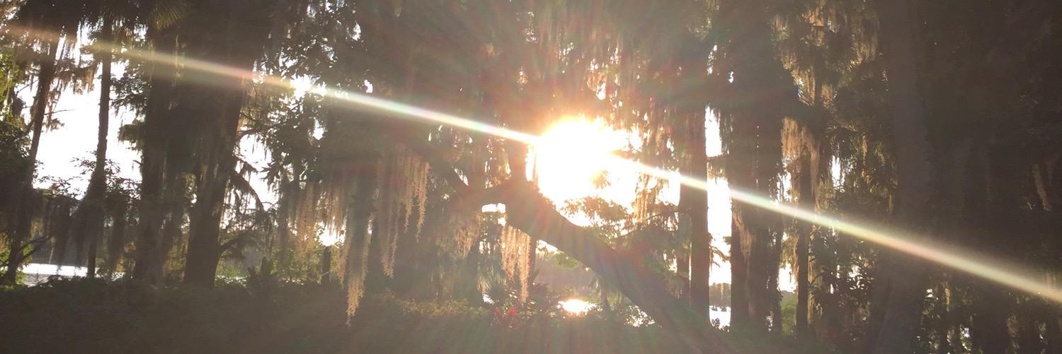 LivingDecent's profile banner image