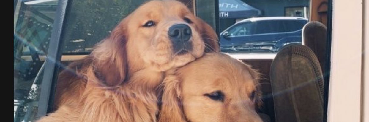 Sthaii44's profile banner image