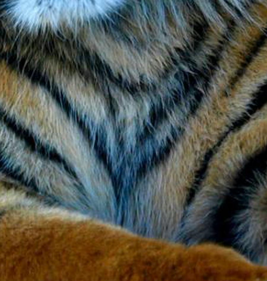 finosee's profile banner image