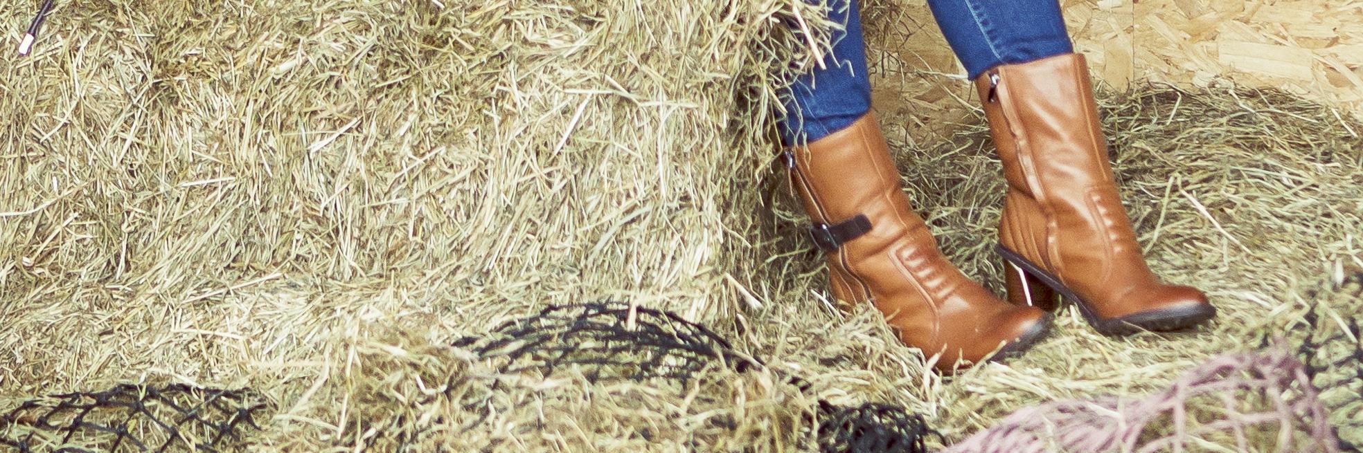 Equestrian Vogue banner