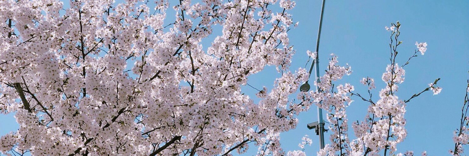 wluvv_'s profile banner image