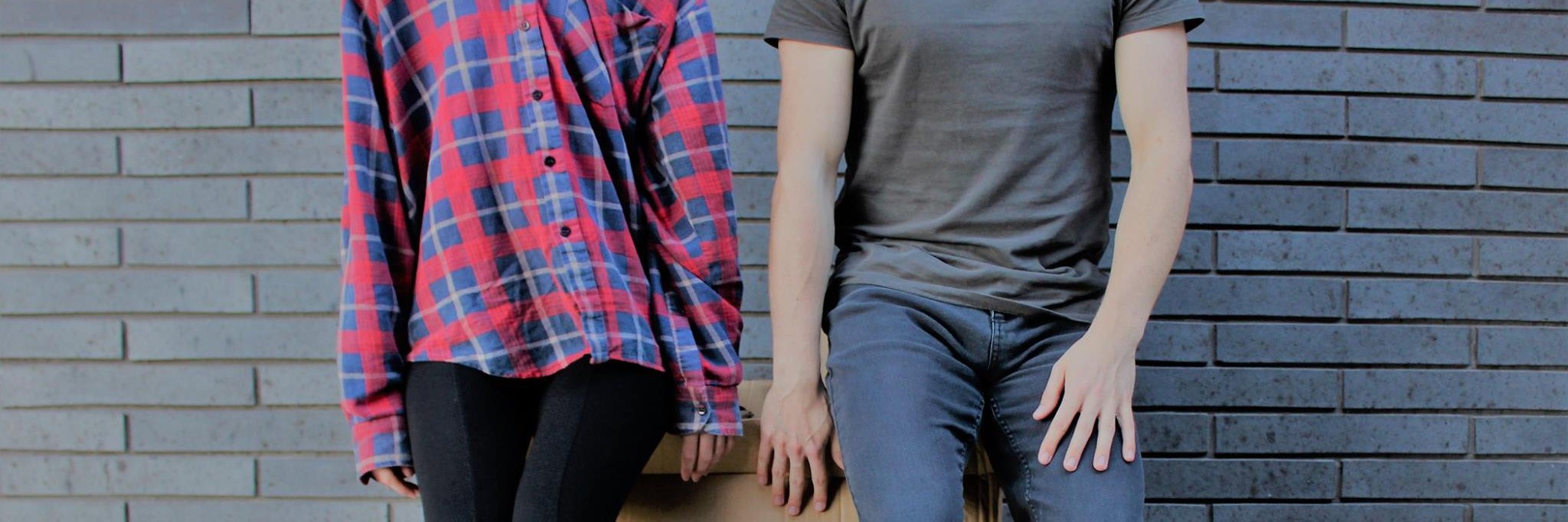 Push To Shove banner