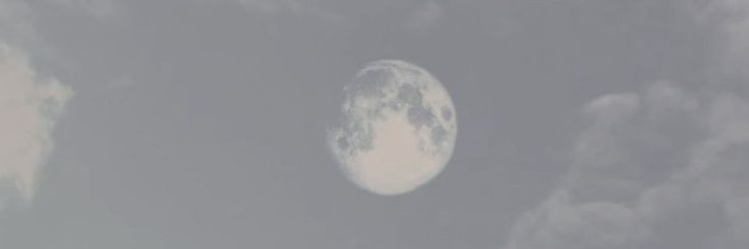laukarch's profile banner image