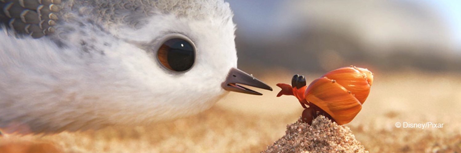 Macarena_GT's profile banner image