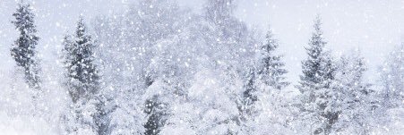 Fifypioupiou's profile banner image