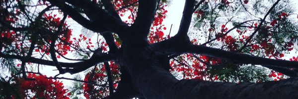 chadcherf Profile Banner