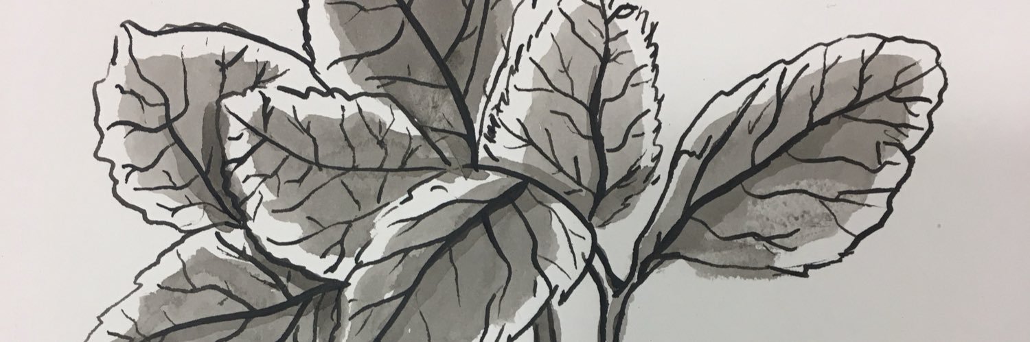 kenz_404's profile banner image