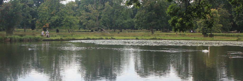 SuspectJones's profile banner image