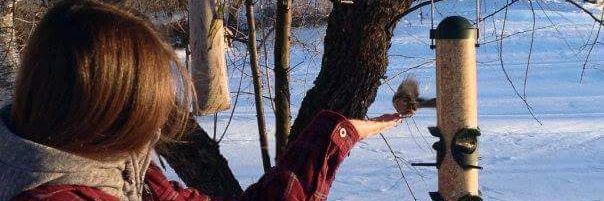 Jess banner