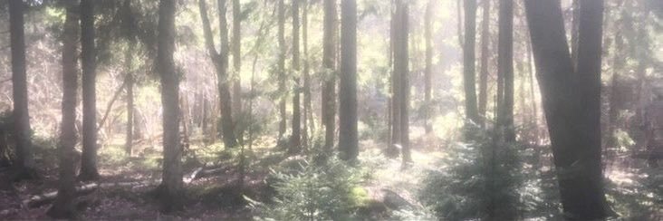 holidayrd's profile banner image