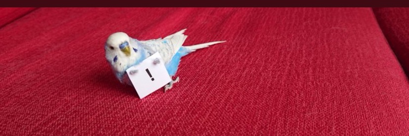 handistn's profile banner image
