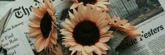 madellercorrea's profile banner image
