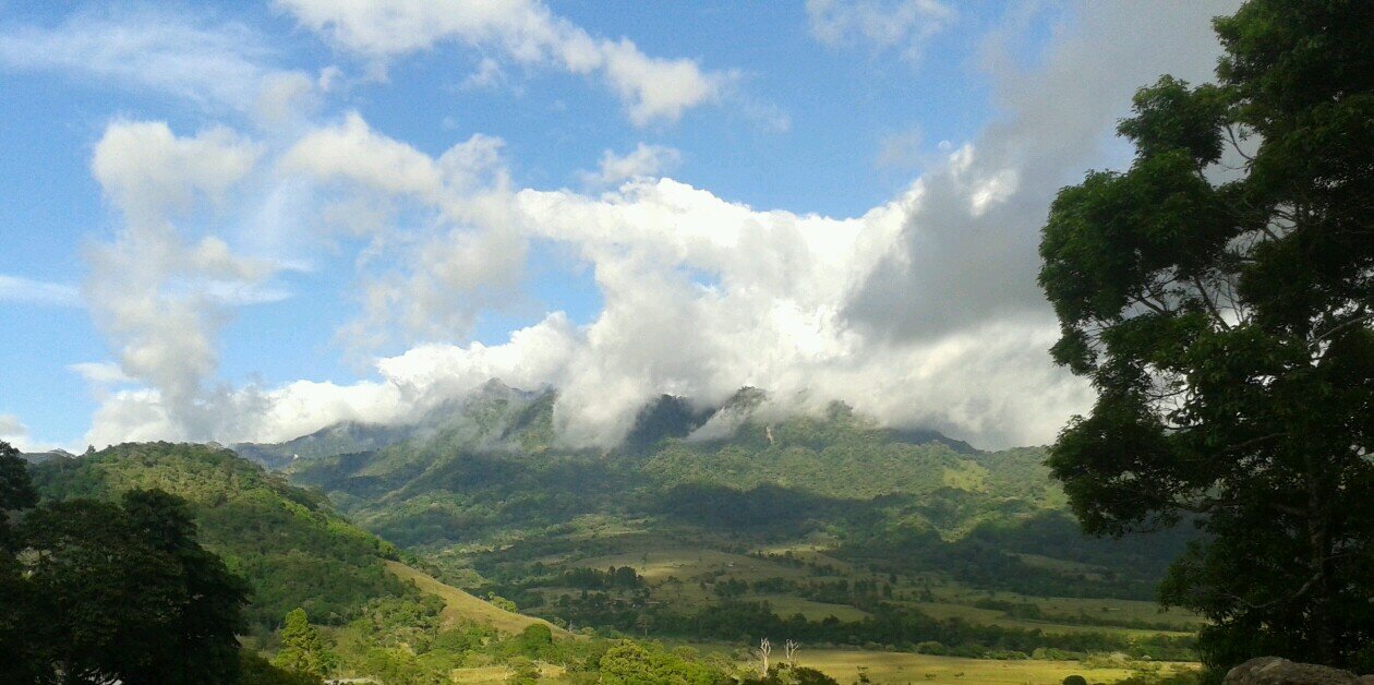Denis_edith's profile banner image