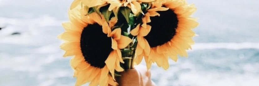 priibrogni's profile banner image