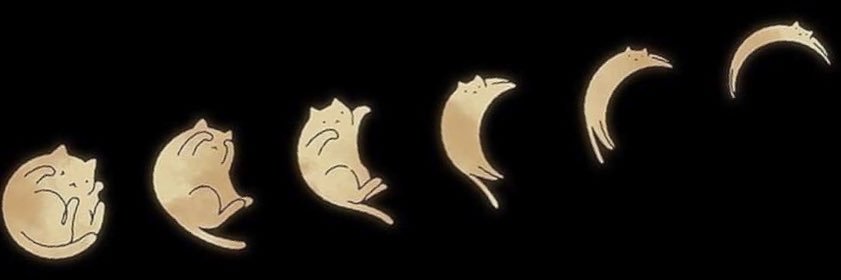 TaylorC818's profile banner image