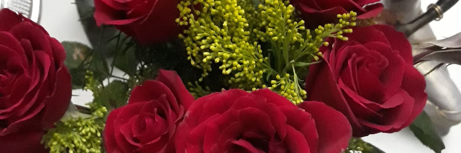 dibannadlr's profile banner image
