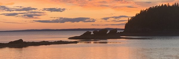 chatshell Profile Banner