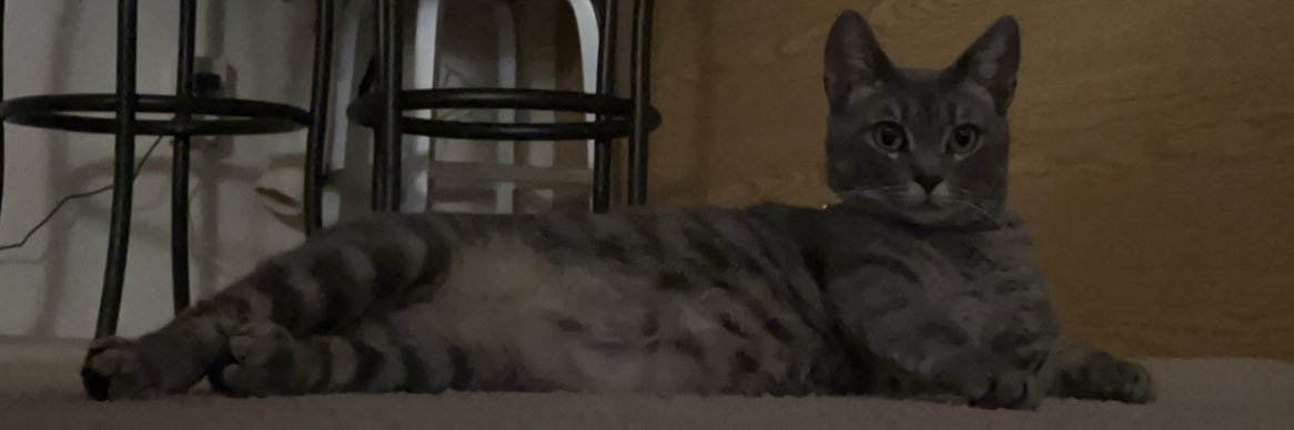 RyanBergholm14's profile banner image