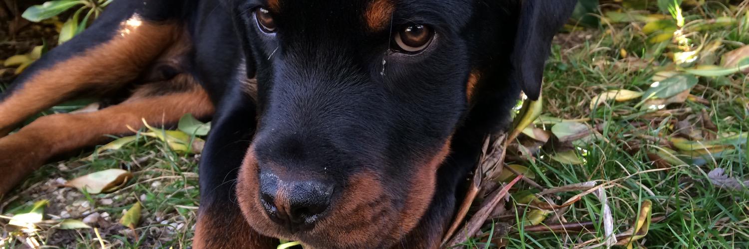 MiketheThe's profile banner image