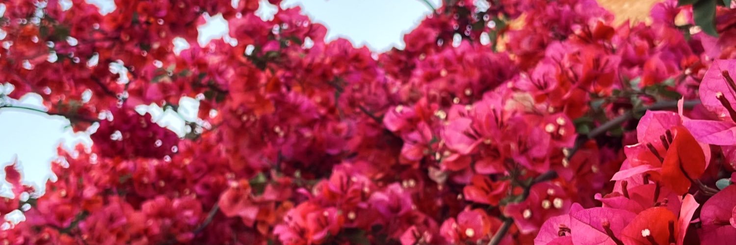 ValentinDuartee's profile banner image