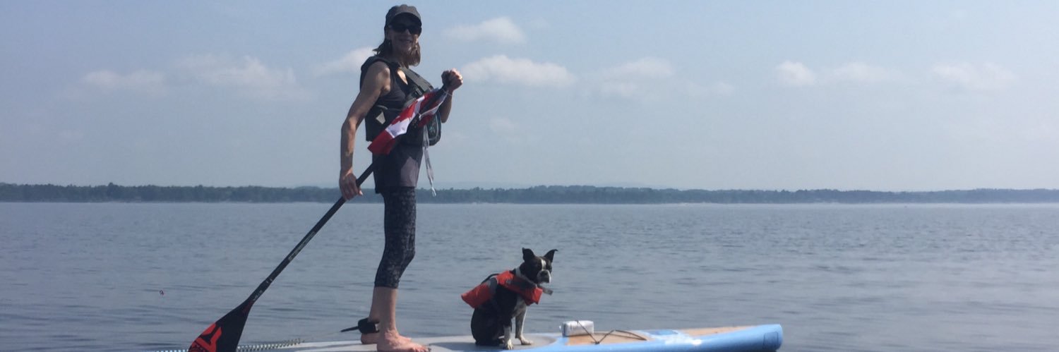 Sherry Pang ☮️ banner