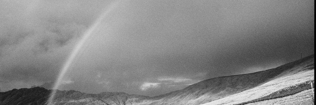 blvckregenbogen's profile banner image