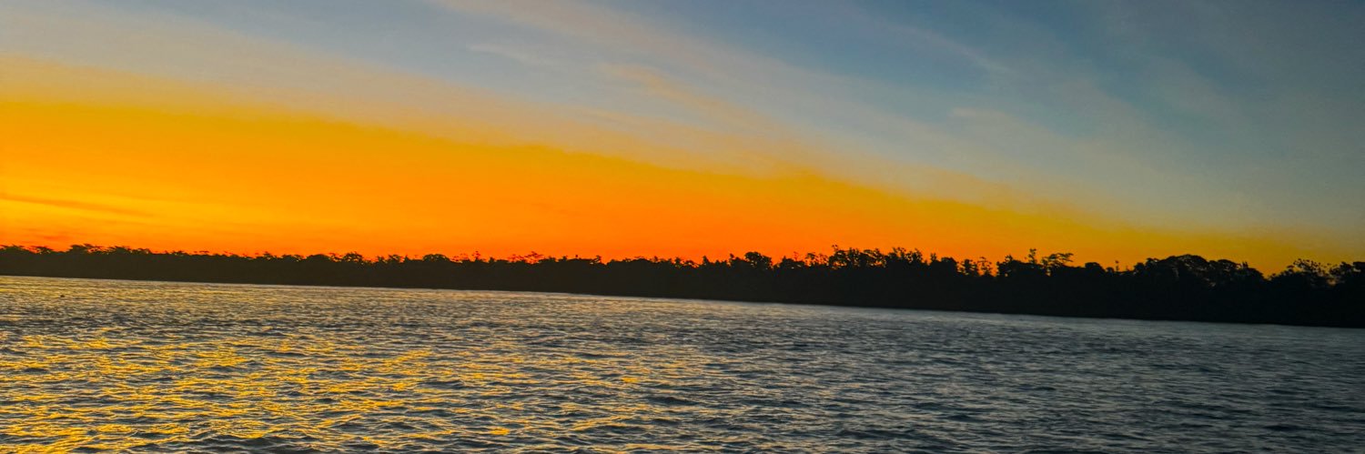 mavimeneguetti's profile banner image