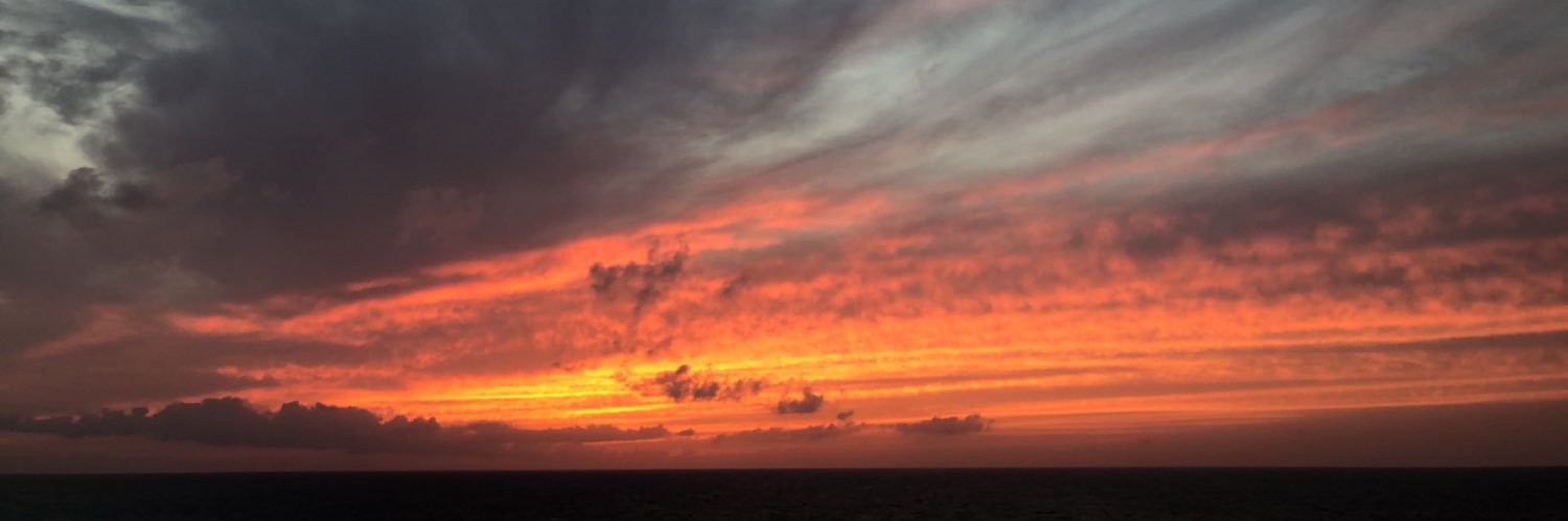 hannahh_ruff's profile banner image