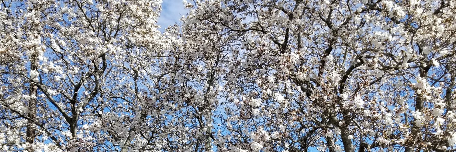 lowrey_john's profile banner image