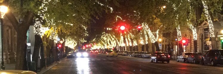 Tim whittaker banner