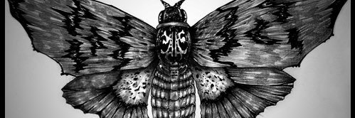LilMoth328's profile banner image