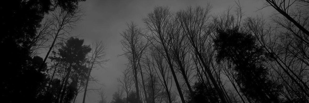 badcatlou's profile banner image