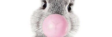gulinmskt's profile banner image