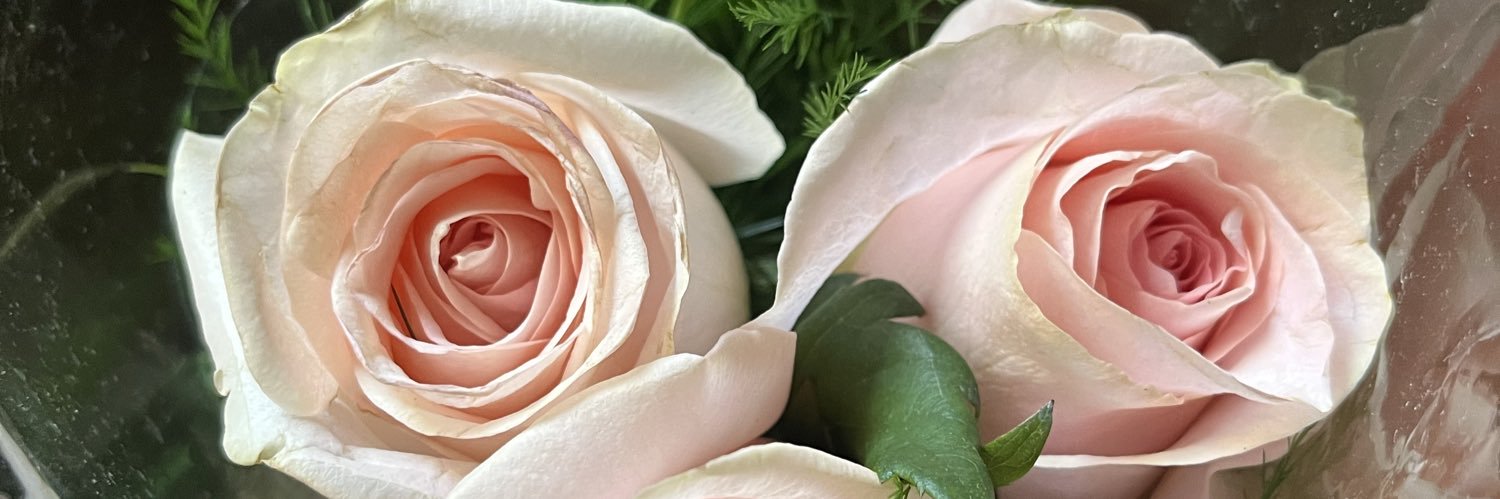EmelynSchenfeld's profile banner image
