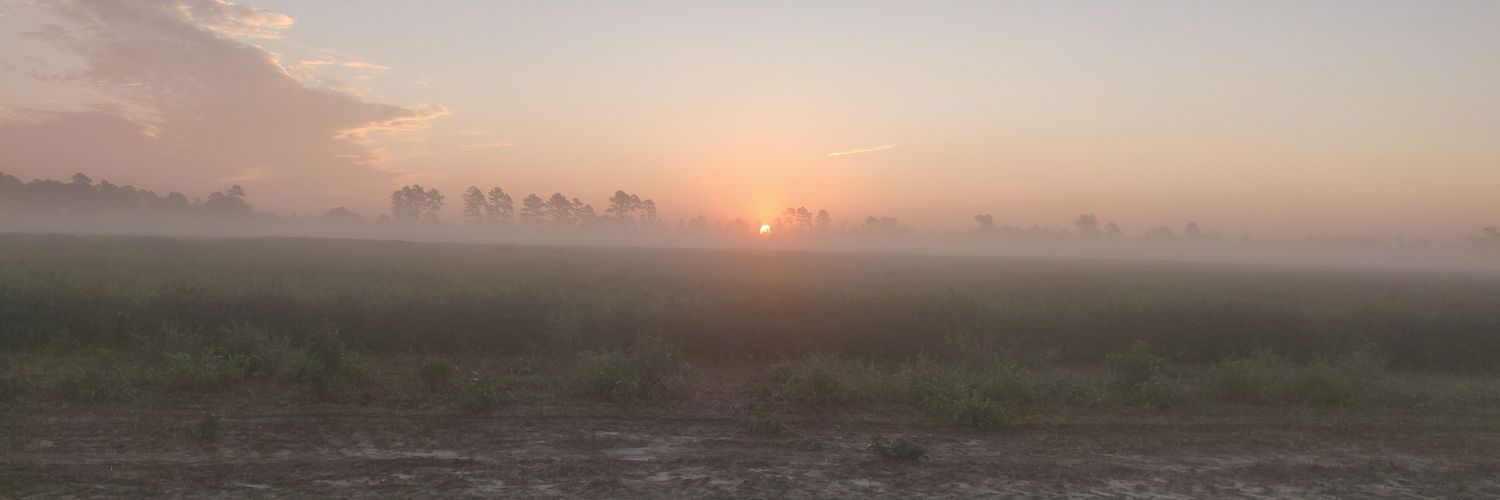 Gobblesnot's profile banner image