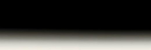 nicedumbbitch's profile banner image