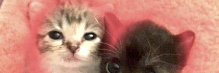 Juanbix17's profile banner image