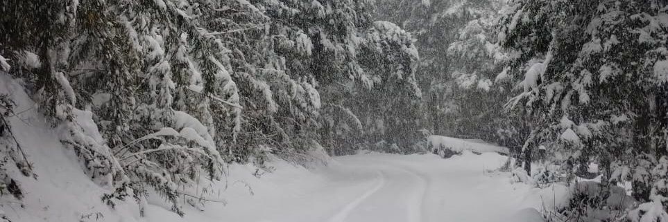 Pochintera's profile banner image