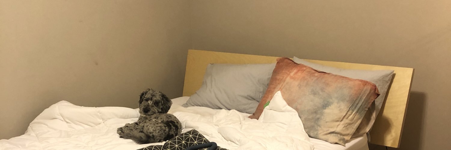 rileytemple00's profile banner image