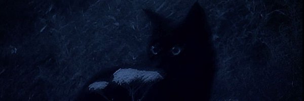 __quixotic Profile Banner