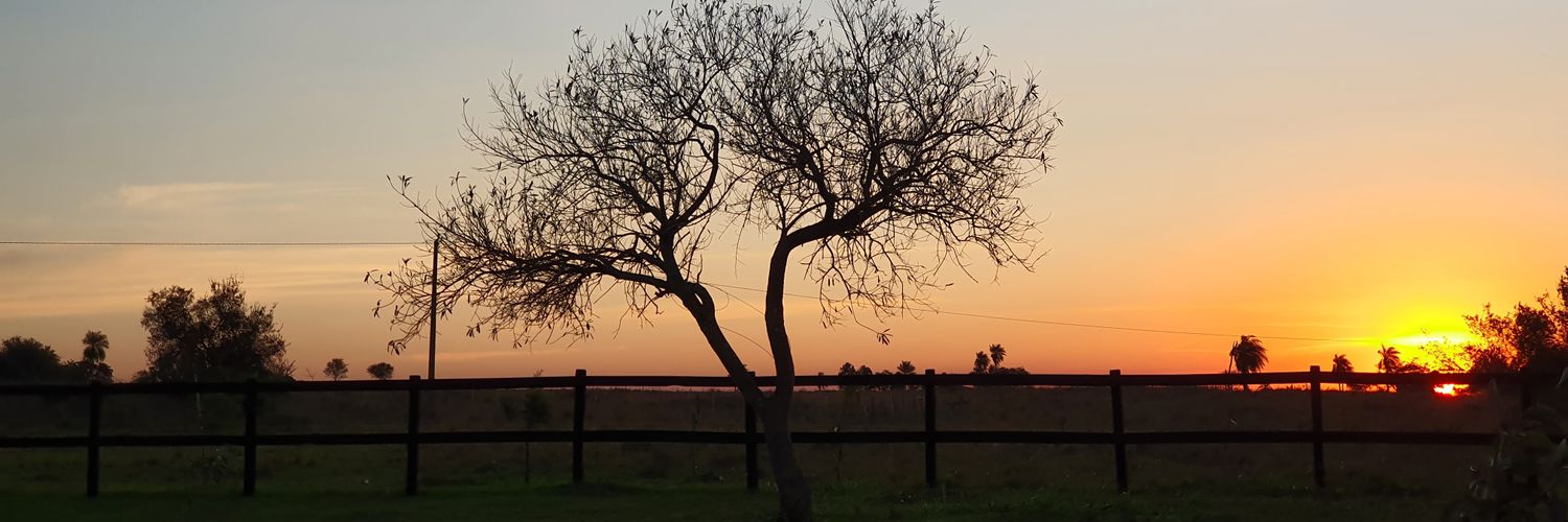 claulovera4's profile banner image
