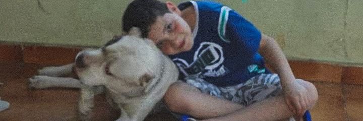 tosttex's profile banner image
