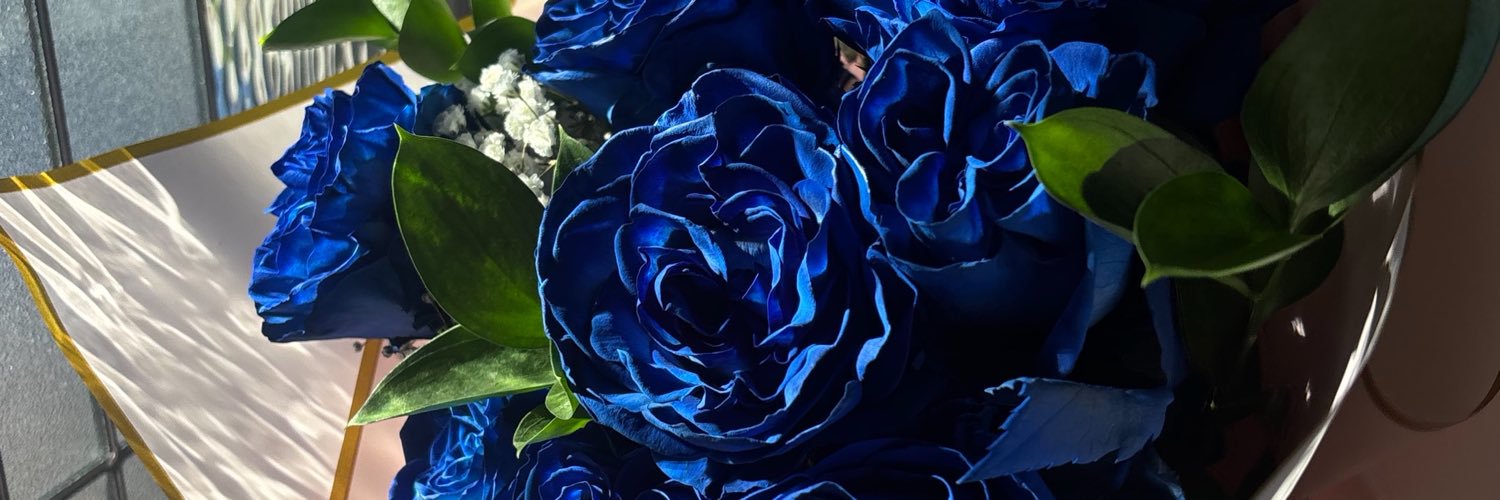 xoxannna's profile banner image