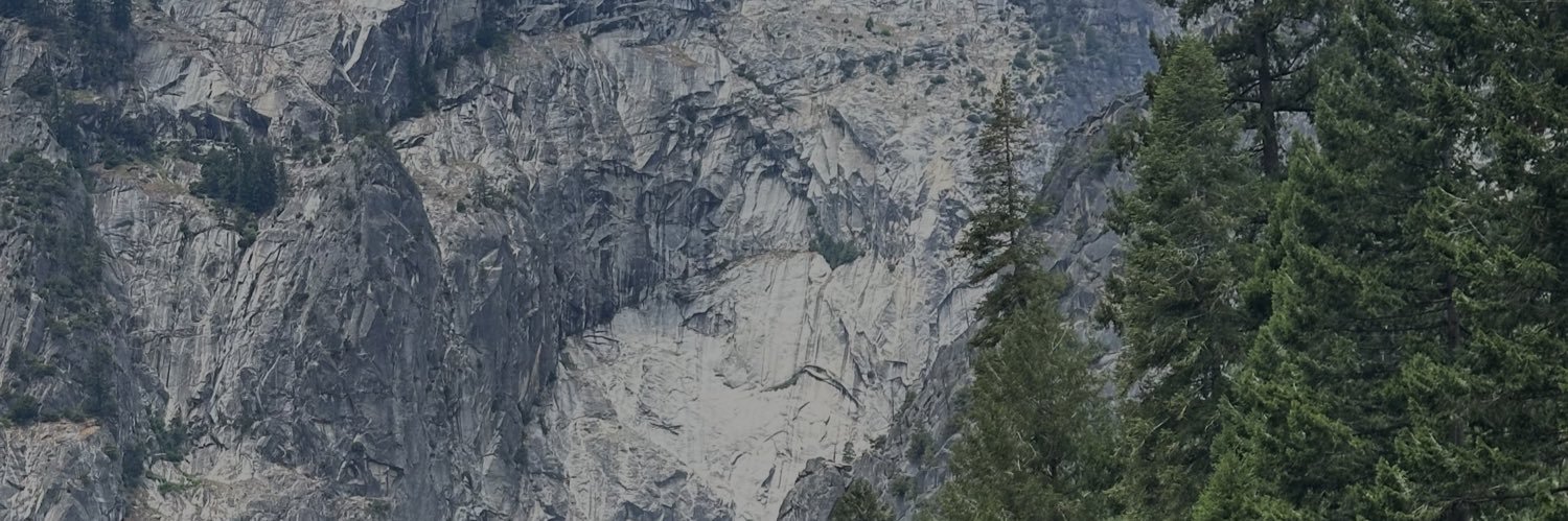 nodegomita's profile banner image