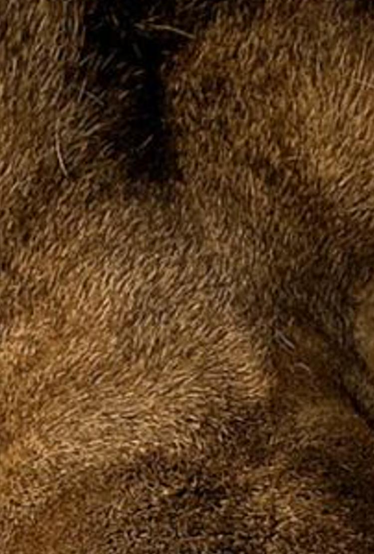 yrishinntode's profile banner image