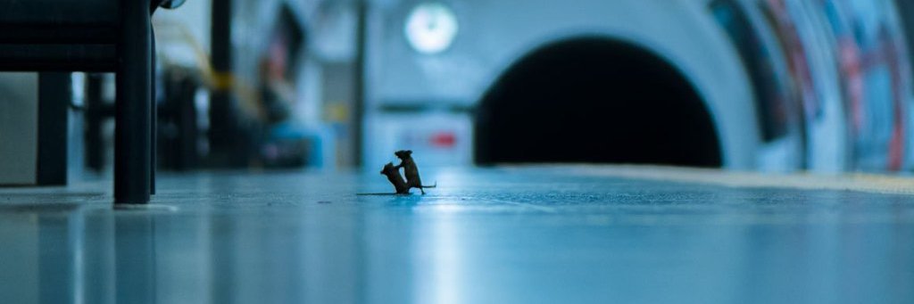 ProbablyMaddyDo's profile banner image