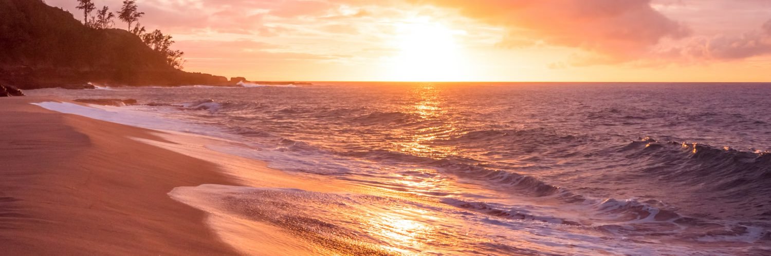 Carmi_Co's profile banner image